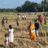 "Freedom's Sky" Kite Festival at Homagama (2023-08-20)